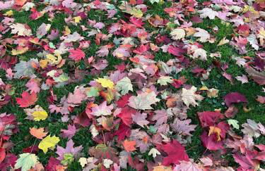 Ferienwohnung Weitblick - Photo 30