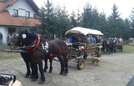 Pokoje u Pitera - Foto 8