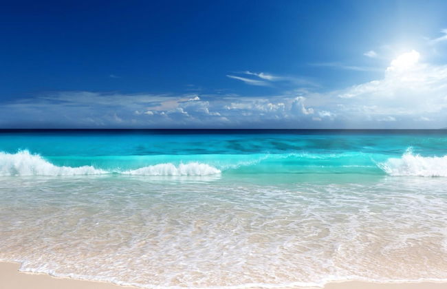 Emerald Isle - Foto 42