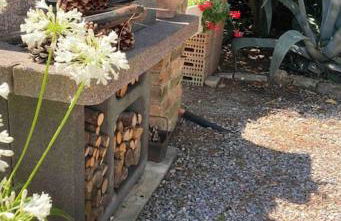 Villa Nardelli - Foto 14