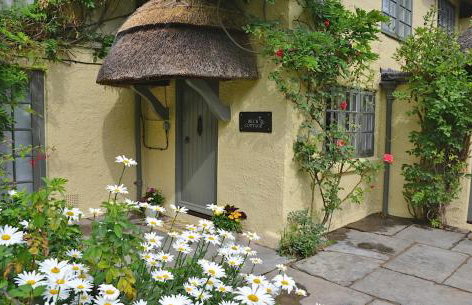 Beck Cottage, Wood Green, New Forest UK - Foto 2