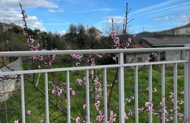 Casa da Celeste - Foto 46