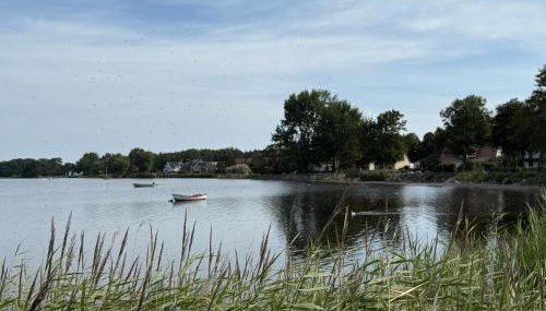 Ferienwohnung Sonnenschein - Photo 5