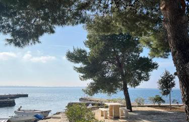 Sunset Lagoon Vrsi Mulo - Foto 18