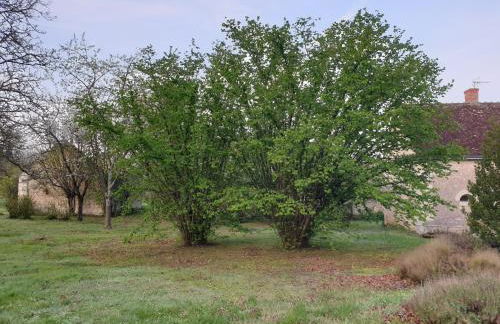 Spatieux, confort, reposant, gd jardin bucolique, jeux, balades, zoo, châteaux - Foto 33