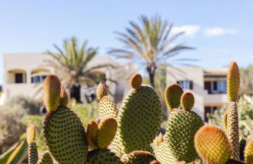 Apartamentos Verde Mar - Foto 11