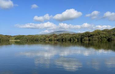 Lake View 92 - Photo 20