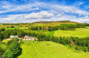 Tin Cabin in peaceful Angus glen - Foto 33