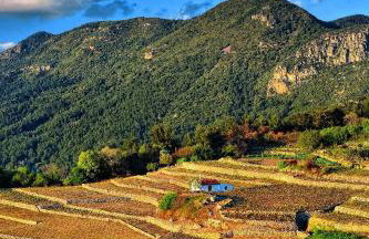 Trifonas village - Foto 49