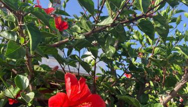 Anastasia Apartments - Foto 5