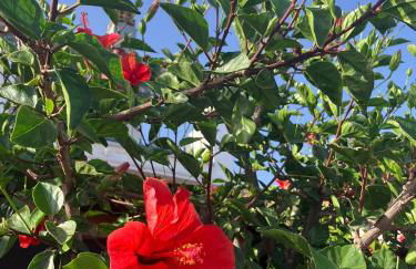 Anastasia Apartments - Foto 5