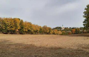 Przystanek Bajka w Puszczy Zielonce - Foto 21