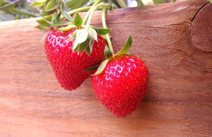 Mas Le Nathakassou - Foto 34