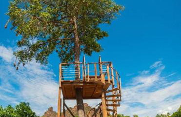 Chácara Aconchego - Foto 22