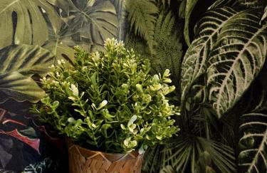 Jacuzzi & Jardin privé - Suite Tropicale - Foto 24