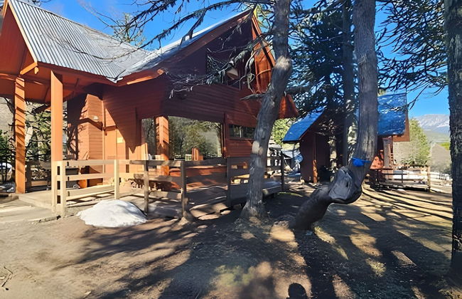 Oceana Suites Corralco - Photo 35