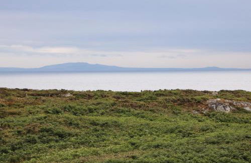 Bryn Meilw - Foto 39