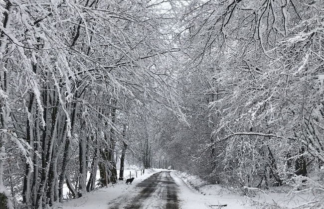 Scenic Holiday Home in Windeck With Garden - Foto 24