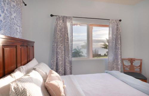 Big Island Getaway, Ocean View Paradise - Foto 5