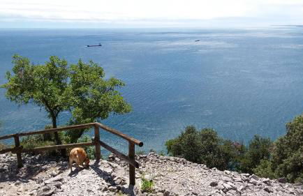 Alla Cantina - Foto 26