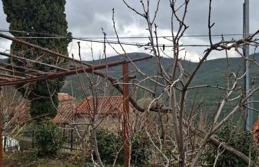 Woodstone House - Photo 35