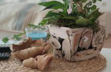 Ferienwohnung Schulzental - Foto 1