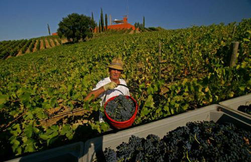 La Foresteria di Rocca di Frassinello - Foto 7