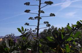 vistas a mar, en paraje natural - Foto 61