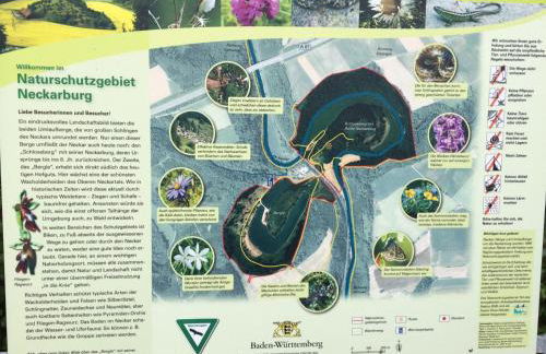 Turm im Blick - Foto 14