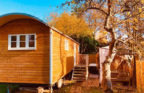 Zirkuswagen mit Outdoor Whirlpool und Garten - Foto 3