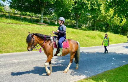 Peaceful Cowslip Lodge - Finlake Spa Resort in Devon - Foto 51