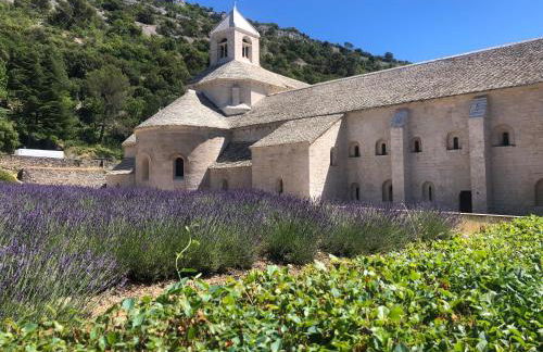 La Petite Rive - Les Oliviers - Foto 28