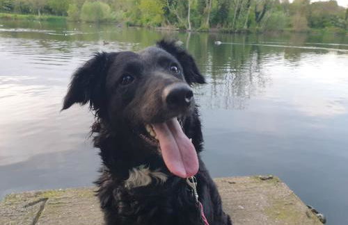 Your Home from Home - River bank - Foto 16