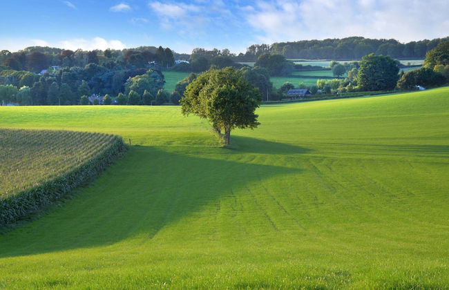 Holiday Home in South Limburg With a Terrace - Photo 36