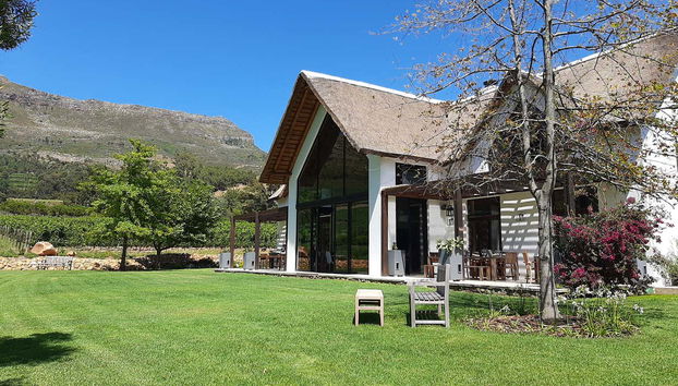 Bodega que visitaremos
