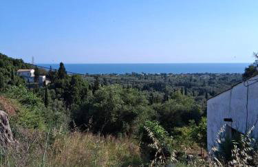 Barbara's House - Foto 39