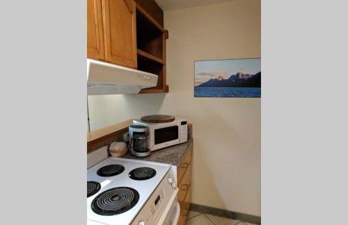 Spectacular Mountain Condo - Foto 58