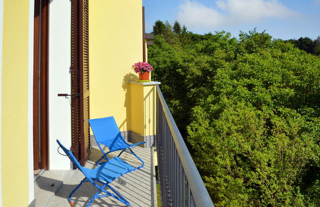 Faggio (SBO101) - Foto 4