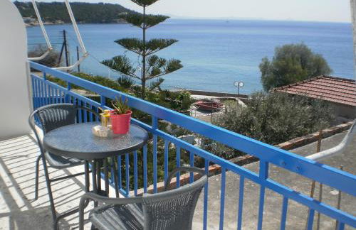 Sunrise Flora - Foto 29