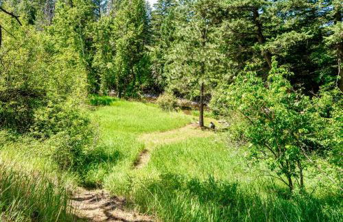 Jocko River Retreat - A Nature Lovers Dream - Foto 24