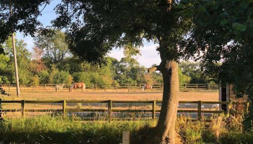 Spacious Cottage in Idyllic Spot - Foto 4