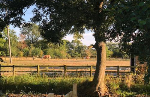 Spacious Cottage in Idyllic Spot - Foto 4