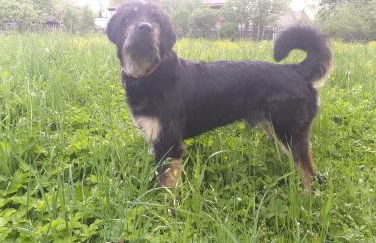 2-Zimmer DG-Apartment mit eigener Sauna - Foto 21