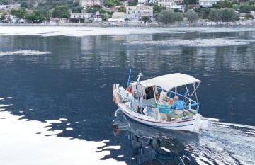 Villa Aliki - Photo 58