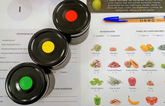 Visite guidée dans Cazorla + Dégustation d'huile d'olive - Foto 11