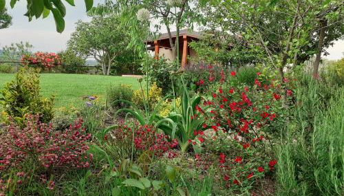 Gatti di Langa - Foto 2, Garden