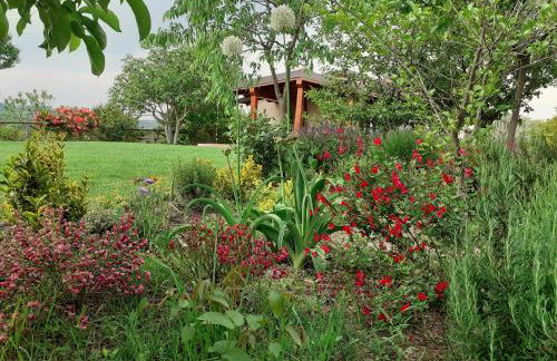 Gatti di Langa - Foto 2