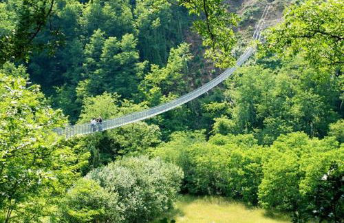 Gli Aristogatti - Foto 37