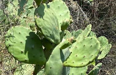 Les terrasses du port - Foto 19