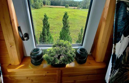 Noclegi "LAS WYPAS" Trzcianka - Foto 73